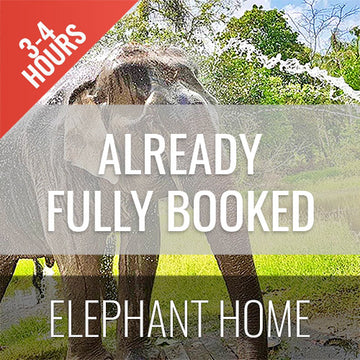 Half Day Activity Koh Samui Elephant Home Animal Shelter - kohsamui.tours